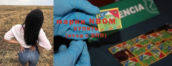 МДПВ Богородск