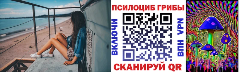 Псилоцибиновые грибы Cubensis  ОМГ ОМГ ссылки  Хасавюрт  где можно купить наркотик 